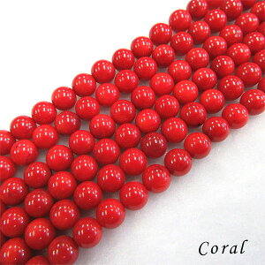 y[֑ΉzԃTS6~10܂Ƃߔ X TS R[ bhR[ VR p[Xg[ DP q