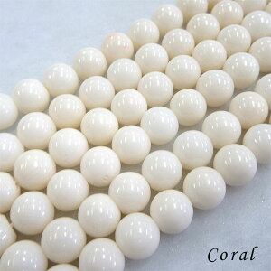 y[֑ΉzTS8~1 X TS R[ VR p[Xg[ DP q