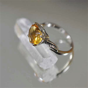 yōzVgO12 v`iR[eBO Vg Vo[ O w ANZT[ VR p[Xg[ ou AWA GXjbN