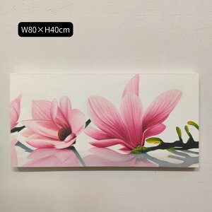 Mtg lC Ԃ̊G nX [^X sN  O[  zCg W80×H40cm t[Ȃ _ A[gpl 傫 oA[g Ǌ| AWA CeA o G   oG