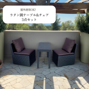  e[u `FA 3_Zbg (1e[u+2`FA) p ֎q K[fe[u Vv uE p x_ AEghA K[f Ƌ eXƋ X   _ 