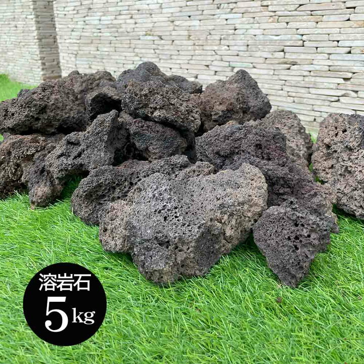 楽天市場】【春 新生活 インテリア セール中】 溶岩石 5kg 5キロ 黒 茶 