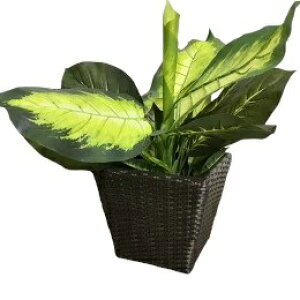 yCeAG  oz Jo[ VZeBbN^ 2F MTCY uE _[NuE F JS  AWA G CeA o oG 썑 ][g 