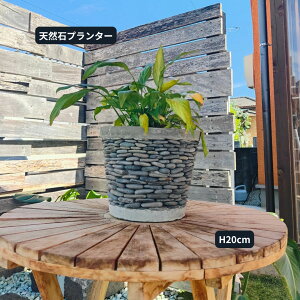 y |CgUP saleN[| z Aؔ v^[ Design Stone Pot  O[ DF t[|bg Δ  AWA o   Xg[ VR K[fjO ΍ Xg[|bg
