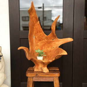 yCeAG  oz ؃IuWF Ö u C 傫 W48cm I _ ؐ AWA][g  Jo[ K[f IuWF I o 썑CeA jOC