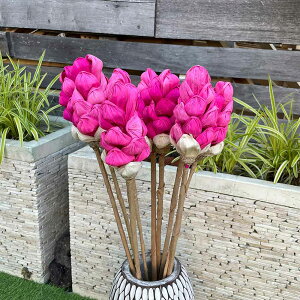 | NX}X CeA G  | AWA  R[[t hCt[ ڂ݌^ Xy[h^ 1{ A[gvc AWAG CeA IuWF p[c   t