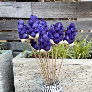 | NX}X CeA G  | AWA  R[[t hCt[ ڂ݌^ Xy[h^ 1{ A[gvc AWAG CeA IuWF p[c   t