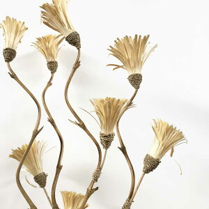 y|CgUP AWA oz AWA A[gvc t[ 2{1Zbg 150cm R[[t AWAG CeA IuWF   A[gt[  hCt[ o 