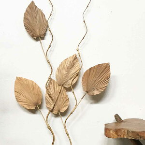 y|CgUP AWA oz AWA A[gvc p[[t V̗t p 2{1Zbg 200cm A[gt[  hCt[ AWAG CeA IuWF  