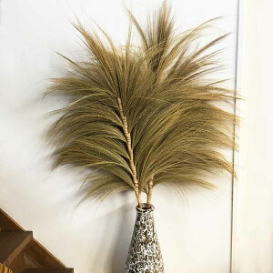 y|CgUP AWA oz ppX XXL  A[gvc 2{1Zbg 150cm AWA CeA fBXvC IuWF  ][g  Ԃ VRf o G A