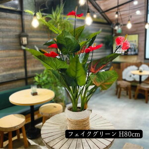 �y�C���e���A�G�� ������� �o�����z���� �A���X���E�� �A�W�A���G�� �C���e���A �ϗt�A�� �� �ԐF ���b�h H80cm �t�F�C�N�O���[�� �A�� �A�ؔ� �A�W�A�� �n���C�A�� ���C�� ������� �C���e
