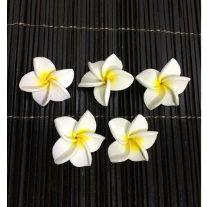 yCeAG  oz vA   SS 4cm 51Zbg AWAG CeA o X|Wt[ tFCNt[ ԏ AWACeA A[gt[ 