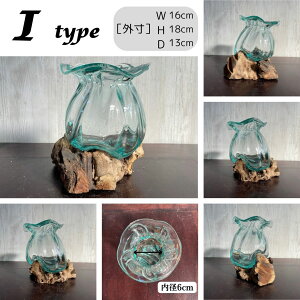 v[g ؃KX IuWF _m IׂA`J 15`18cm t[x[X    KX CeA  ԕr   KX ANAE eE ][gCe