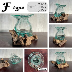 v[g ؃KX IuWF _m IׂA`J 15`18cm t[x[X    KX CeA  ԕr   KX ANAE eE ][gCe