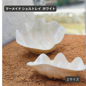 yCeAG  oz VF gC g^ zCg  JXsL Lk L  o AWAG g[  ANZT[gC CeA LL   }[