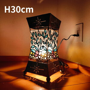 yCeAG  oz X^hv tACg ACA W 3030cm AWAƖ AWACg v  W L UCN AWAG CeA o