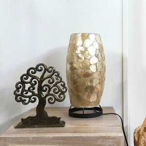 yCeAG  oz lC VF e[uv X^hv A| H30cm zCg S[h F _ g AWAv AWAƖ Cg  Ǐ A