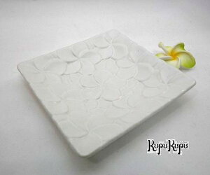 yCeAG  oz AWAG CeA o ô킢H ^oi pM  14×14cm  vA EGfBO@j v[g qp َq