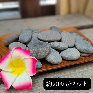 ʍ O[ DF 20kg ~  Ԓd ύ ~ u AWA o o X ̔ K[fjO ][g o GNXeA O\  gsJ K[f