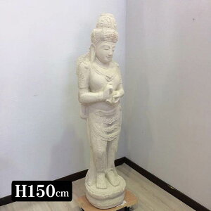 yCeAG  oz o Α  H150cm  oΑ u  K[fjO IuWF 傫 GNXeA X ][g 썑 K[f O\  Α ΂̒ 