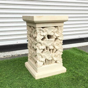 yCeAG  oz o Α pX^h nCrXJX H50cm C X^h K[fIuWF  o AWA ][g    Α Xg[J[rO
