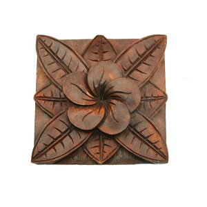 yCeAG  oz ؐ [t 20cm vA AWAG o uE VR`[N ؒ Ǌ| Ǐ ǖʑ EH[v[g EH[fR CeA