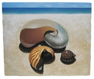 CƃVF50*60@fUCCyoEAWAG݃op_CXz