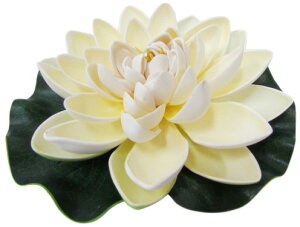 [^X@LX|W @̉ @ nX CeA ][g   ɕ Xp ׂ  oG  tFCNt[ ďyoEAWAG݃op_CXz