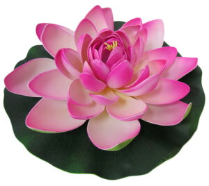 [^X sNyoEAWAG݃op_CXz