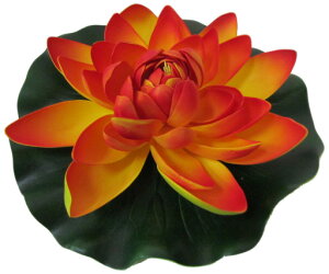 [^X IWX|W @̉ @  t[ nX CeA ][g   ɕ Xp ׂ  oG  tFCNt[ ďyoEAWA