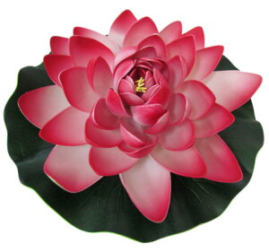 [^X bhX|W @̉ @   t[ nX CeA ][g   ɕ Xp ׂ  oG  tFCNt[ ďyoEAWA