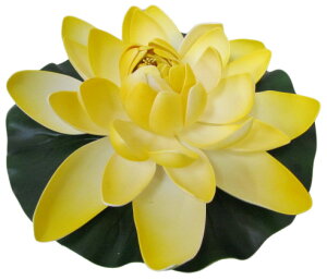 [^X CG[X|W @̉ @ nX F  t[ CeA ][g   ɕ Xp ׂ  oG  tFCNt[ ďyoEAW