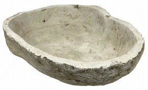 Xg[gCyoAz fBXvCgC J[rO  ΍׍H Ntg IuWF Β oG oG ][gCeA AWACeA rO Lb`