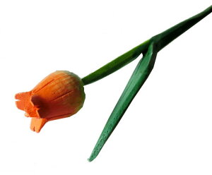 Ebh`[bv@IWyoEAWAG݃op_CXz