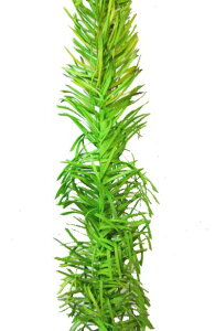 tW}@΁yoEAWAG݃op_CXz