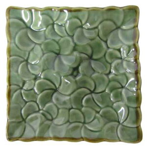 TANTERI@CERAMICBtWpjv[g11.5yoEAWAG݃op_CXz