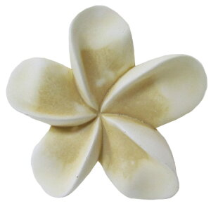 tWpjǊ| 17cm WvA 썑   Ǐ ][g fR[V 킢  v[g yY Mtg CeAG o  CeAyoEAW