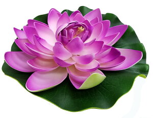 [^X ԎyoEAWAG݃op_CXz