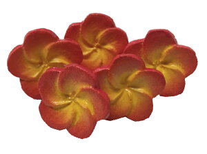 EbhtWpjSS5Zbgۉ ԁyoAzyAWAzygsJG݁zyoCeAzy썑][gzyCeAG݁zyi`ȃt[fRzyN