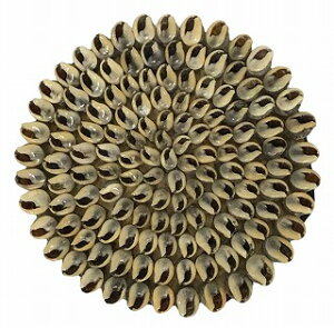 VFR[X^[@uEnyoEAWAG݃op_CXz