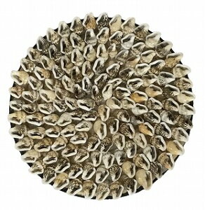 VFR[X^[@zCgnyoEAWAG݃op_CXz