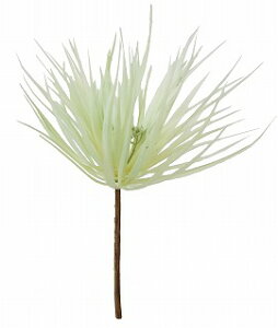 `WAsbN@yoEAWAG݃op_CXz