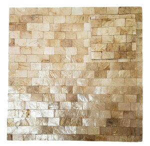 VFUCN`}bgR[X^[ZbgyoEAWAG݃op_CXz