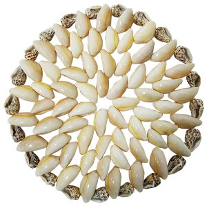 yAEgbgzVFR[X^[@ی^yoEAWAG݃op_CXz