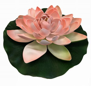 [^X T[sNX|W @̉ @ nX CeA ][g   ɕ Xp ׂ  oG  tFCNt[ ďyoEAWAG݃o