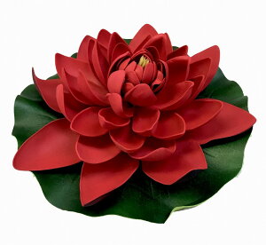 [^X fB[vbhX|W @̉ @ [g  nX CeA ][g   ɕ Xp ׂ  oG  tFCNt[ ďyoEAWA