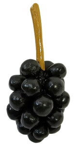 ؐt[c@ԂǂyoEAWAG݃op_CXz