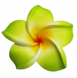 X|WtWpj7.5cmiJ[njyoEAWAG݃op_CXz