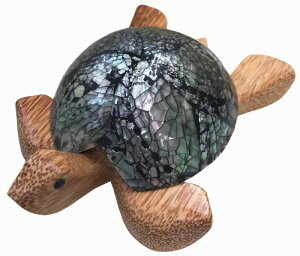 �J���̃V�F���D�M�@�����L���y�o���E�A�W�A���G�݃o���p���_�C�X�z