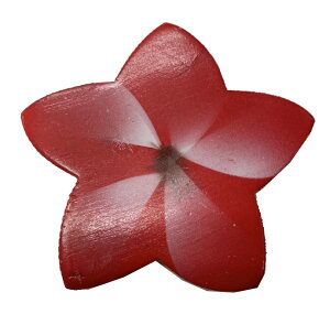 WOODtWpj}OlbgyoEAWAG݃op_CXz